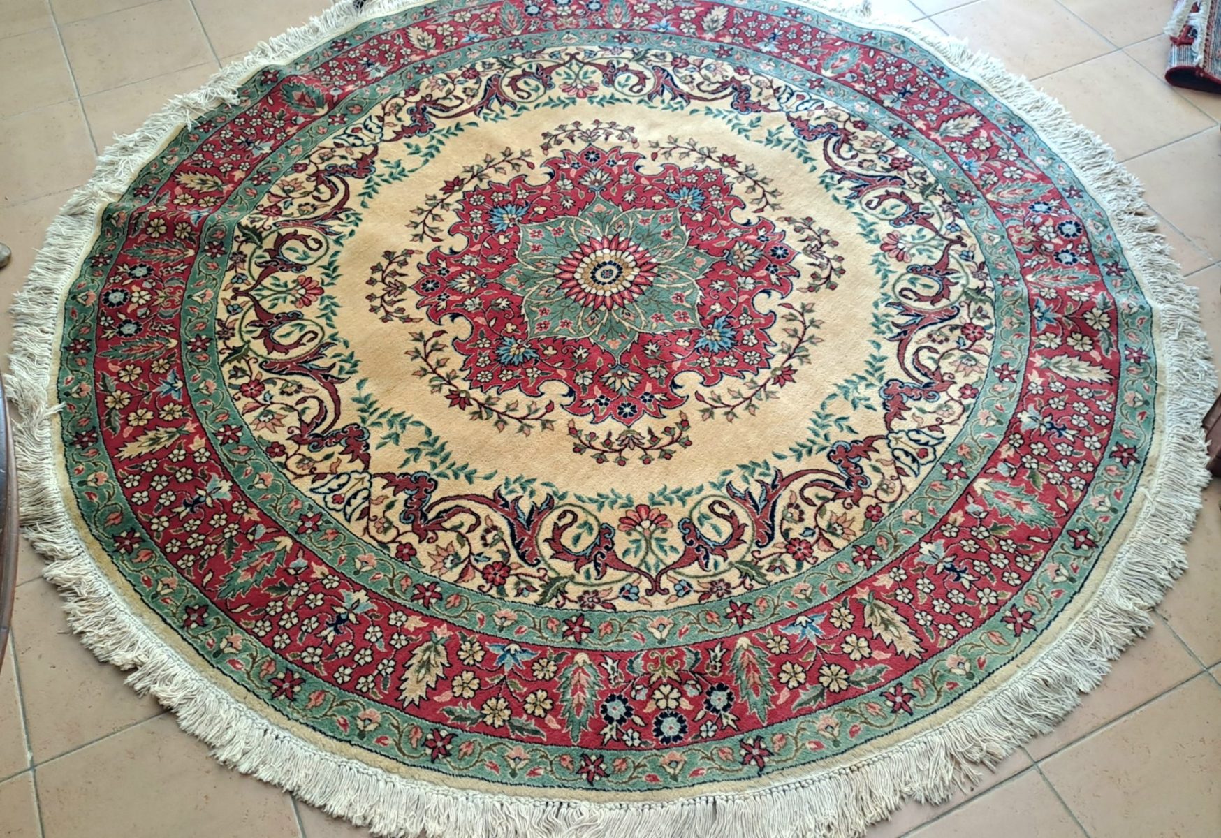 20260317_110131 20260317_110131