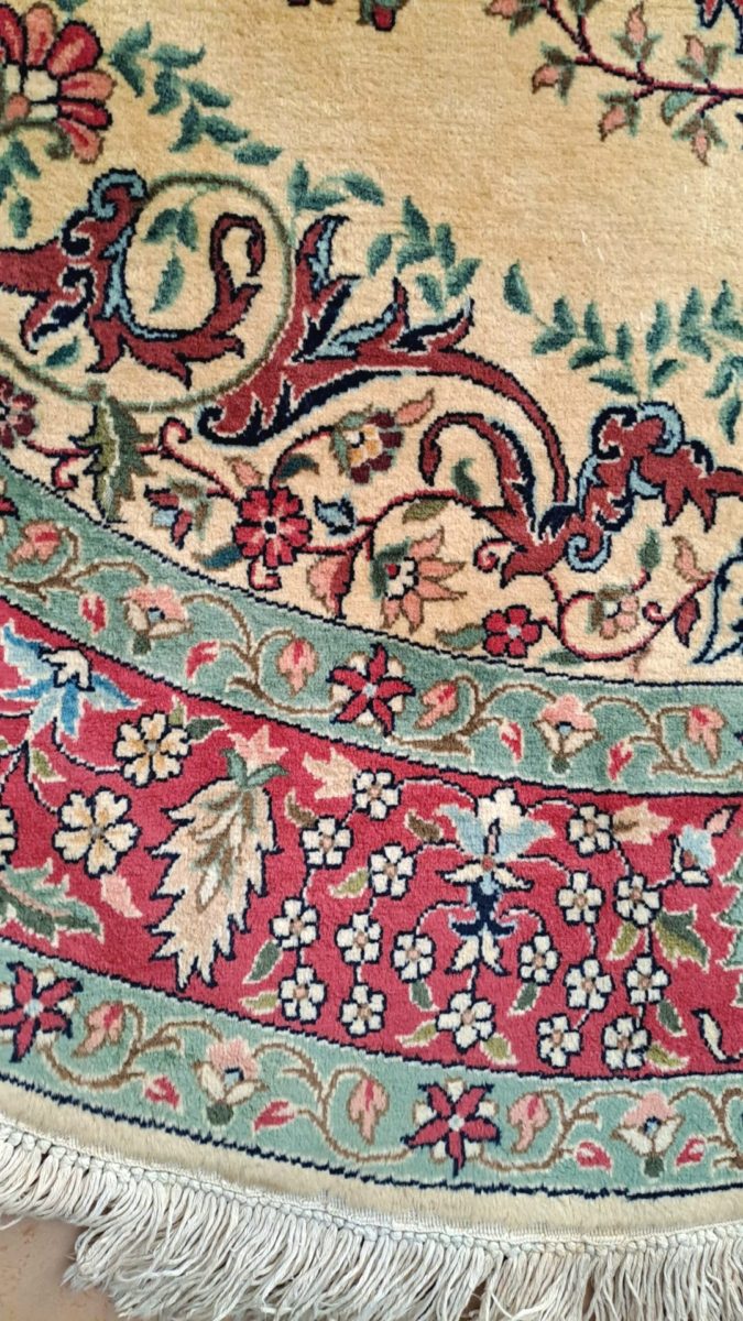 20260317_110236 20260317_110236