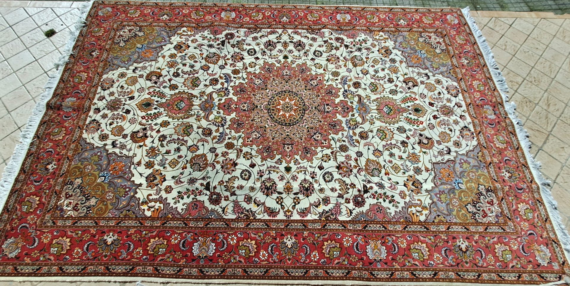 20260317_110928 20260317_110928