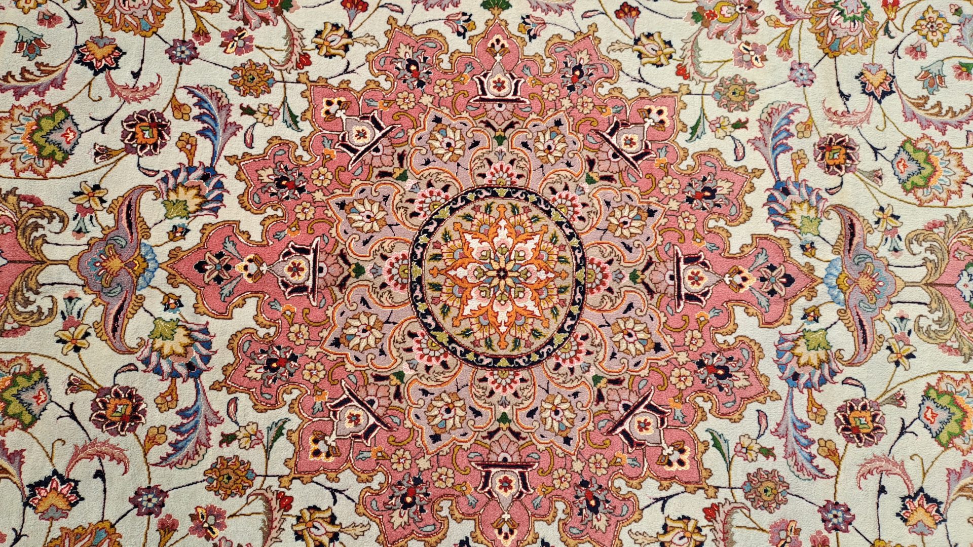 20260317_110958 20260317_110958